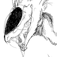Neyla Dragon