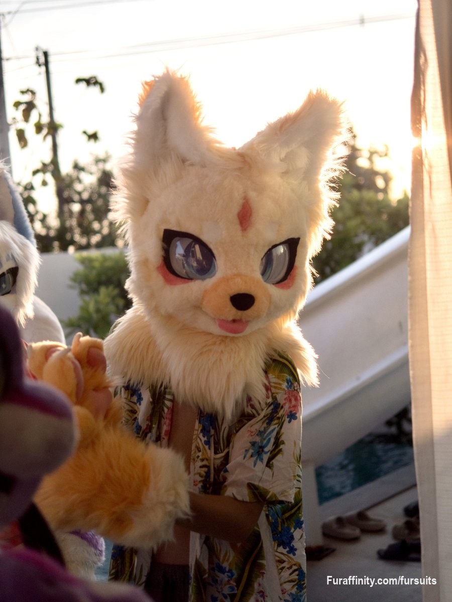 Nice fursuit  2023 custom your fursuit now!