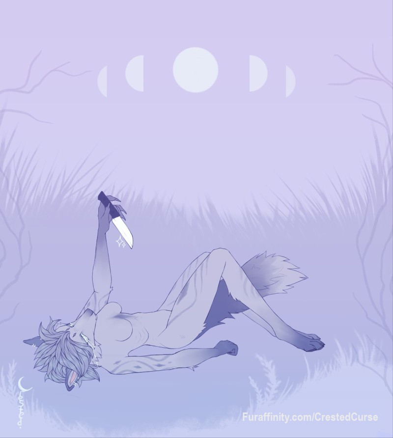 Hello!! This is my first time posting on this site. I hope you enjoy my drawings. I am attaching some relatively old art, I will post them in chronological order. I will be happy to answer all your questions!

taags
#female #coyote #sketch #new