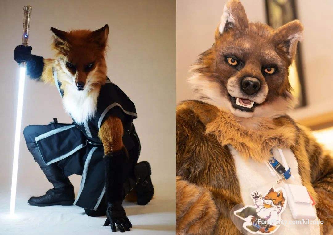 Fursuit Commissions Open
Welcome furry contact me!